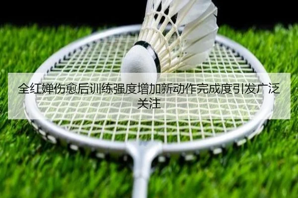 全红婵伤愈后训练强度增加新动作完成度引发广泛关注